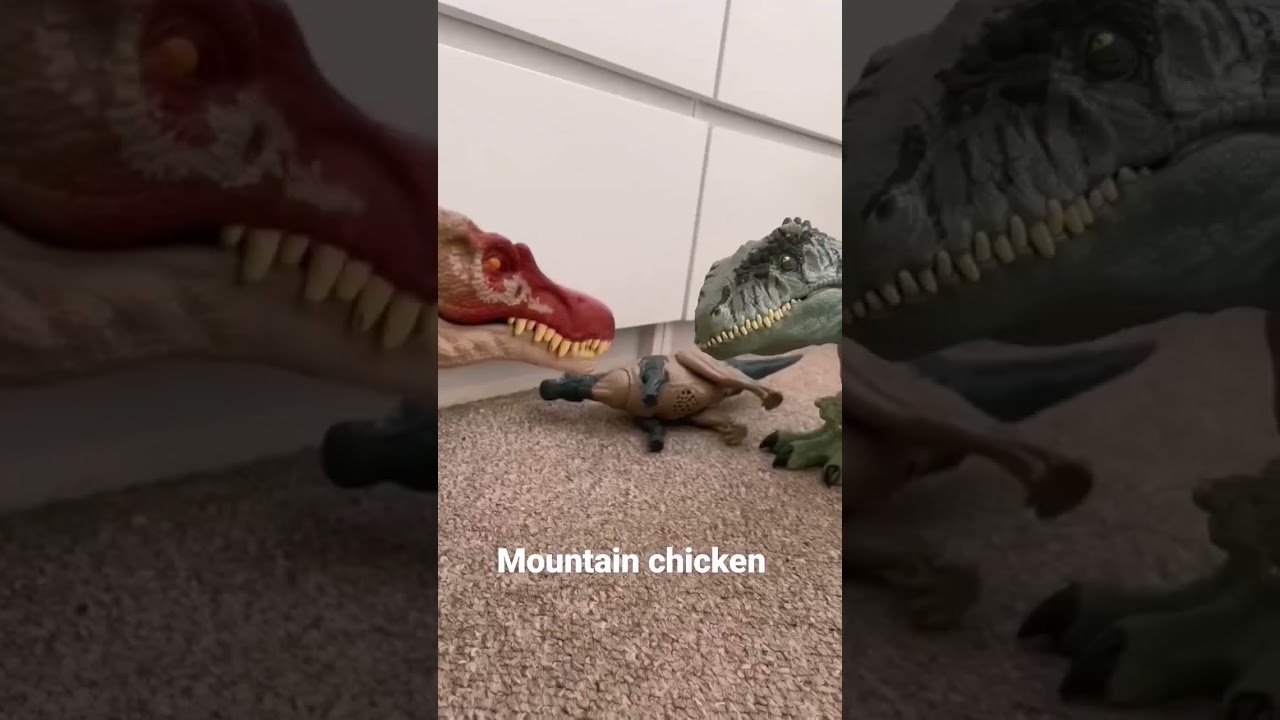 have u ever heard of mountain chicken??? #shorts #darkhumor #funny #chicken #mountains #comedy