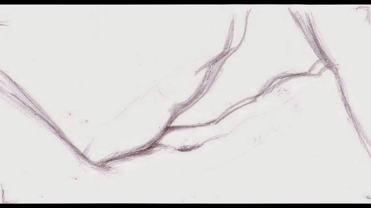 Copy of My erotic drawings