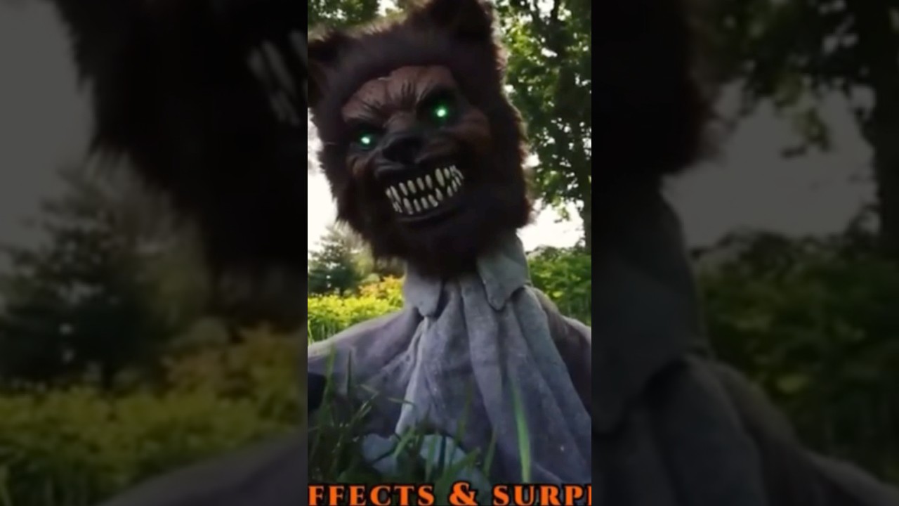 20 in. Touch Activated Pop-Up Animatronic Wolf 9#animatronics #homedepot #werewolf #halloween2025