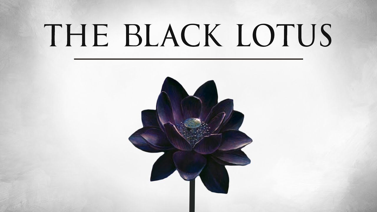 The Black Lotus | A History of Magic's Most Valuable Card