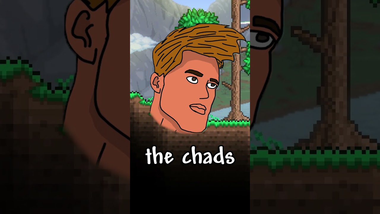 Types of Terraria Players