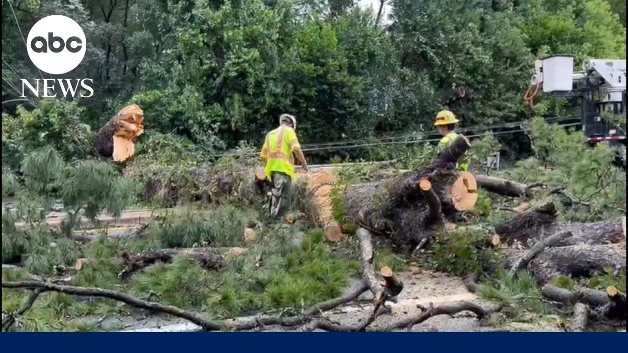 Savannah mayor: ‘40,000 people are without power’ despite storm subsiding | ABCNL