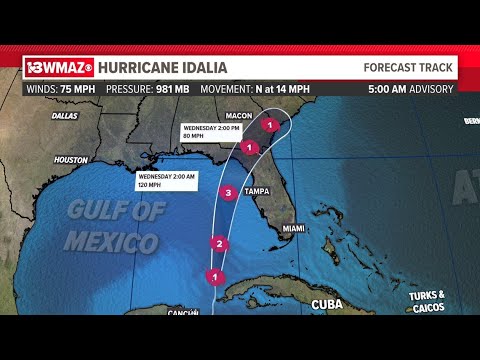 WATCH: Live view of Naples Pier as Hurricane Idalia moves towards Florida (EarthCam)