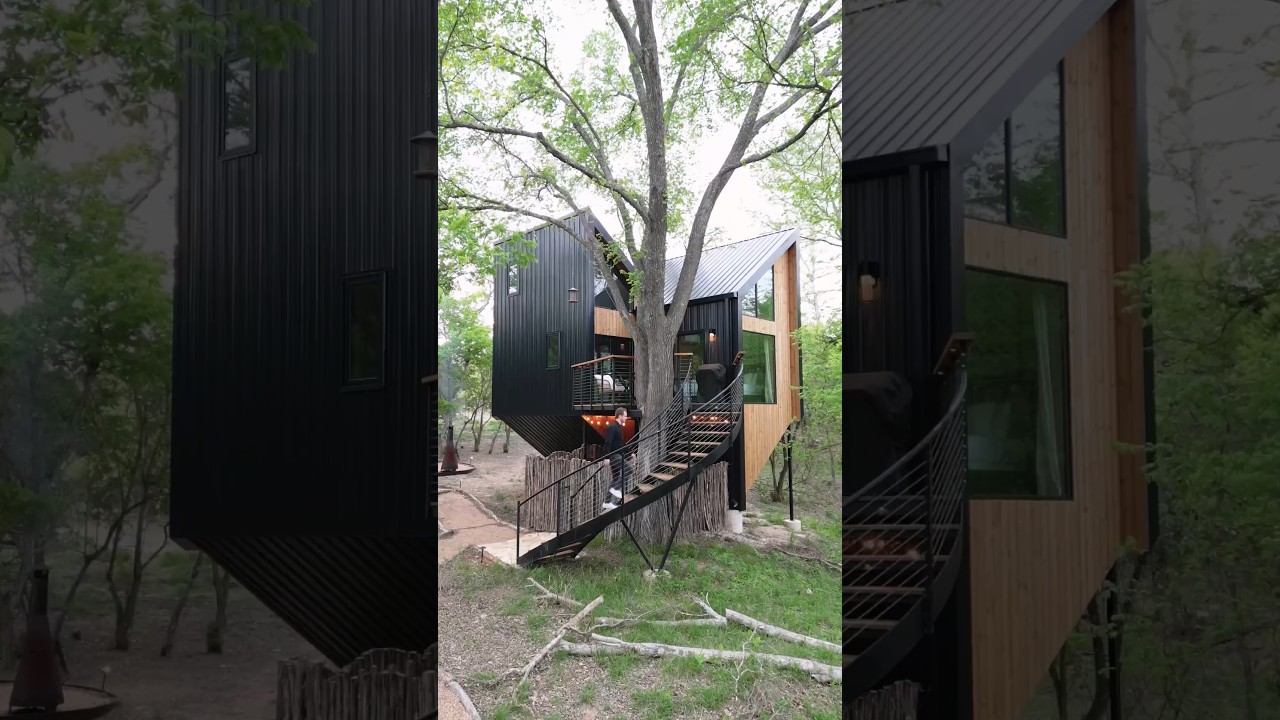 Unique Butterfly-Shaped Modern Treehouse! (60 Second Airbnb Tour)