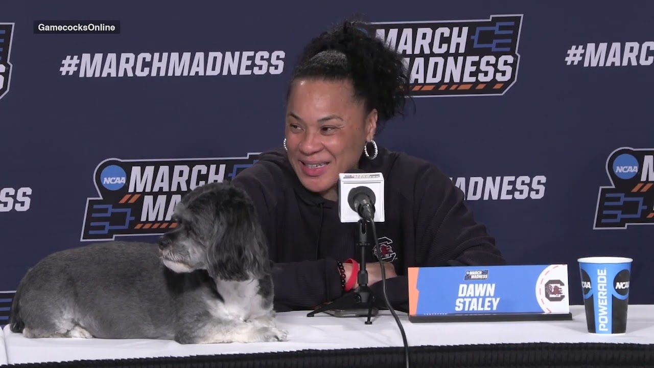 Dawn Staley, Te-Hina Paopao, Raven Johnson | South Carolina Women's Basketball