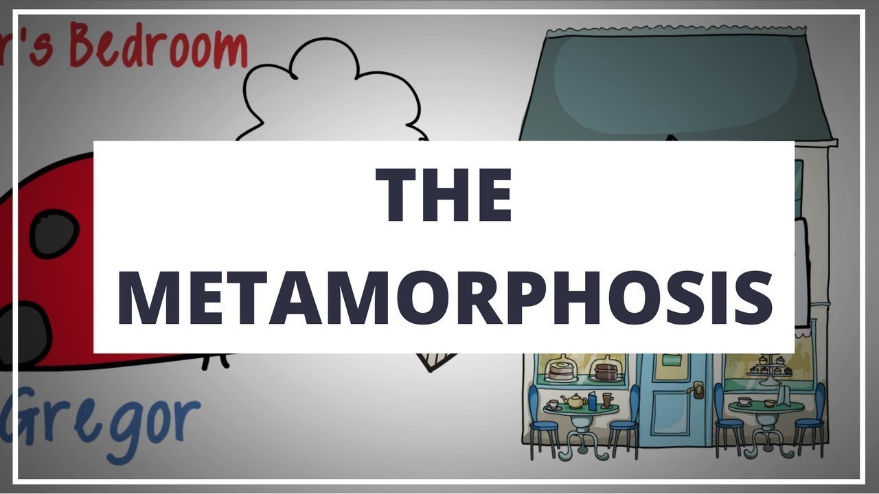 THE METAMORPHOSIS BY FRANZ KAFKA - ANIMATED SUMMARY