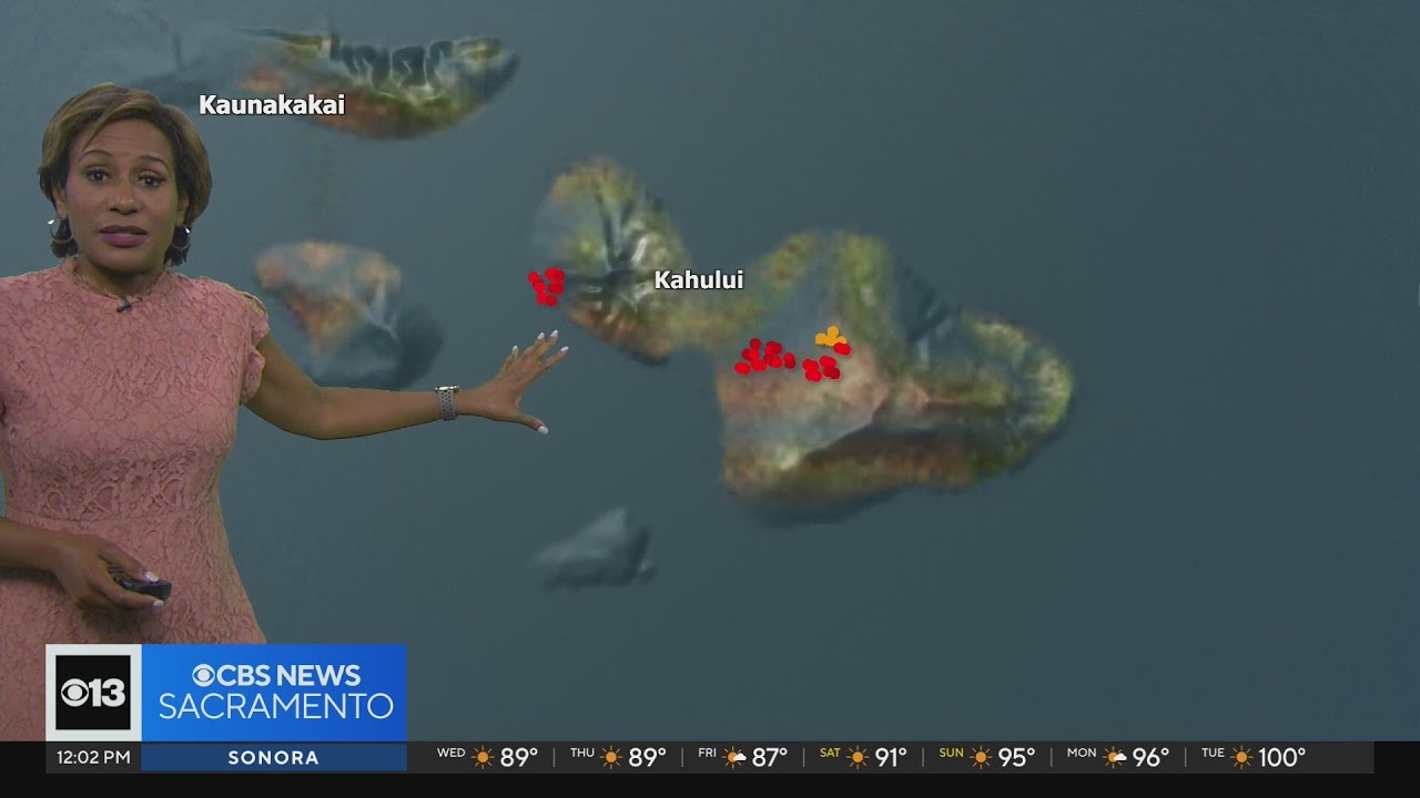 How wind is factoring into Maui's wildfires
