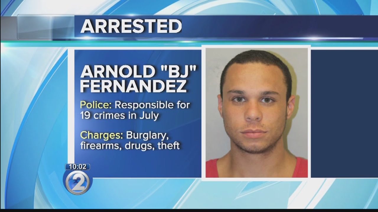 Big Island police task force cracks down on auto thefts