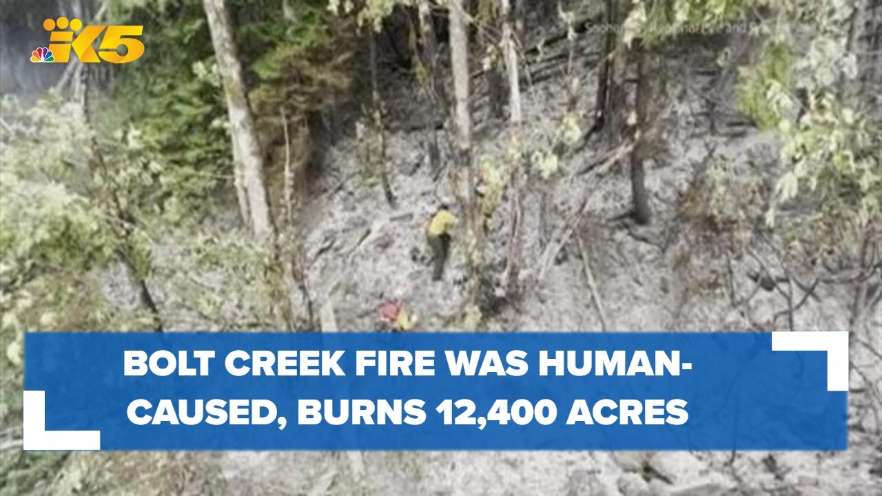 Bolt Creek Fire in Washington was 'human-caused,' still being investigated