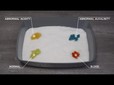 Health-Monitoring, Color-Changing Cat Litter | PrettyLitter