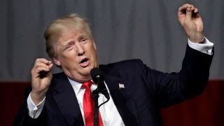 Fact or fiction: Donald Trump’s insults on Twitter