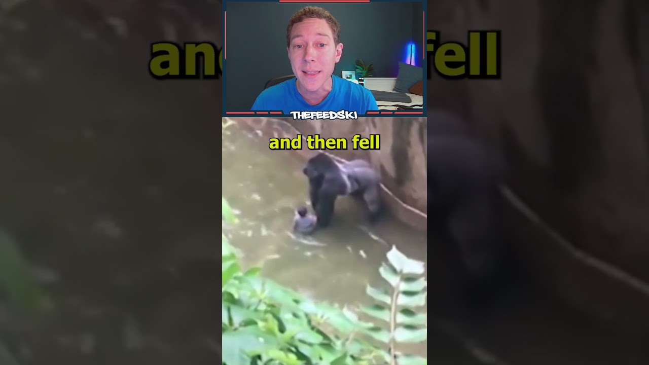 The unknown story of Harambe