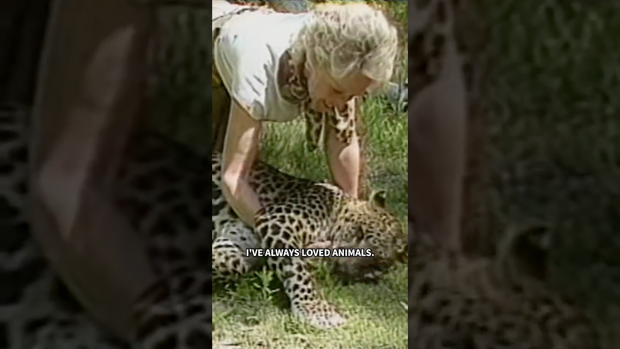 1985: Meet the Big Cats at Tippi Hedren's Sanctuary