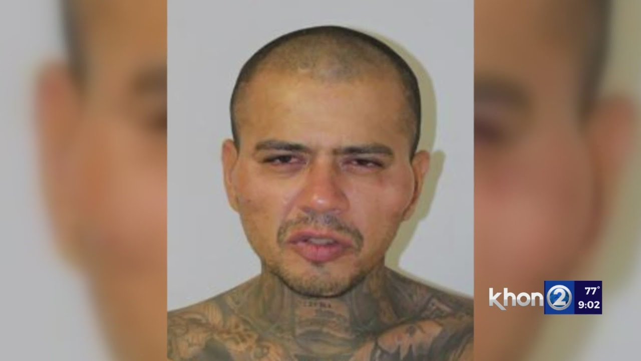 Big Island man arrested for hitchhiking robbery, pulling knife on tourists now investigated for alle