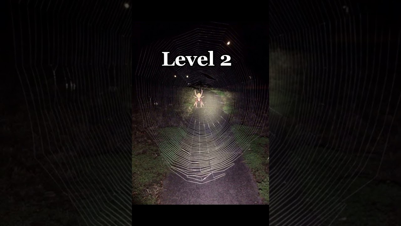 Overcoming Arachnophobia: Fear of Spiders Levels 😱 #trending #shorts #short #youtubeshorts
