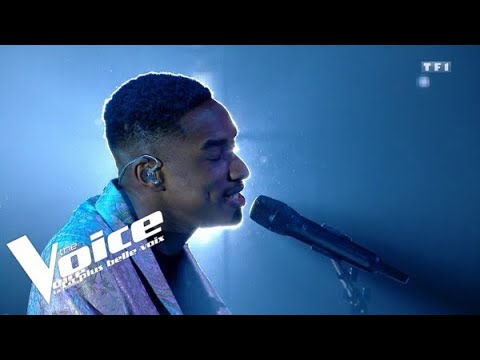 Billie Eilish | Lovely | Abi | The Voice France 2020 | Finale