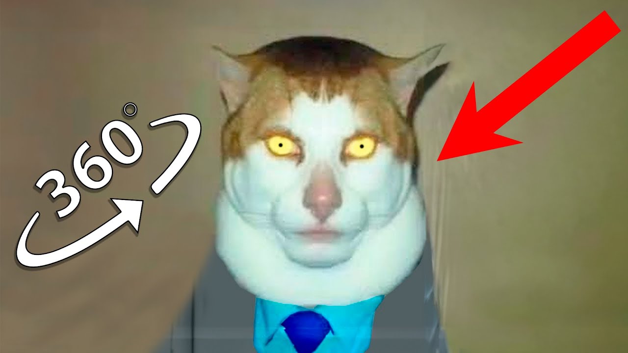 The Monday Left Me Broken Cat Finding Challenge 360º VR Video
