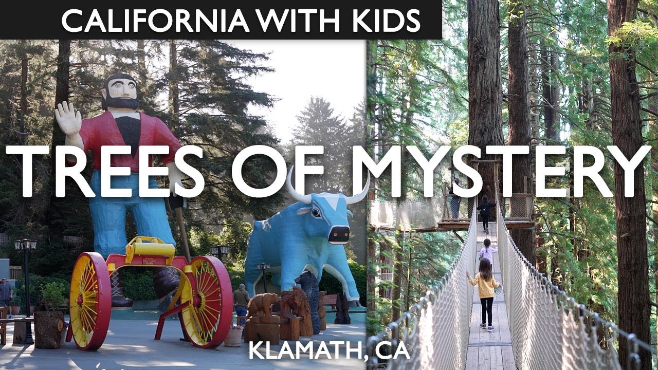 Visiting Trees Of Mystery Review