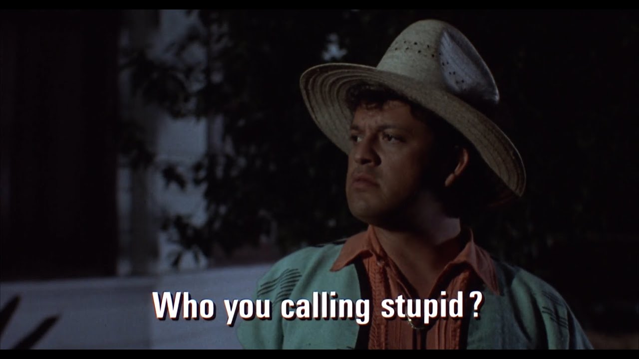 Born In East L.A. (1987) Cousin Javier (Paul Rodriguez)