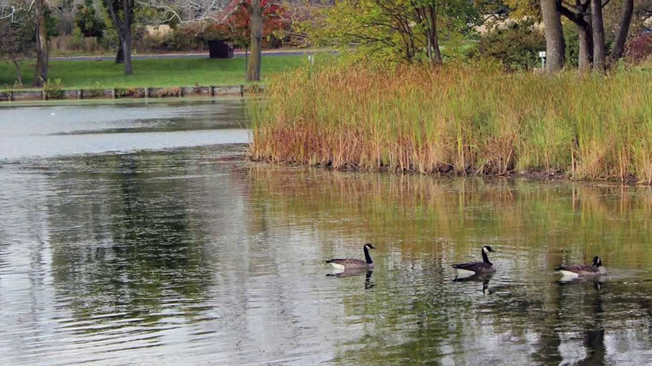Visit Willowbrook, Illinois on Historic Route 66 near Chicago
