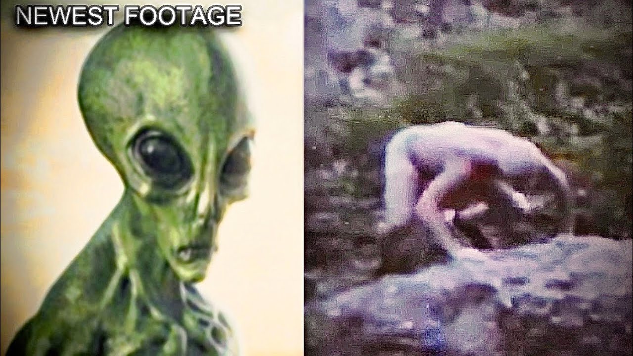 This Exclusive Cryptid Creature Footage was JUST Released!