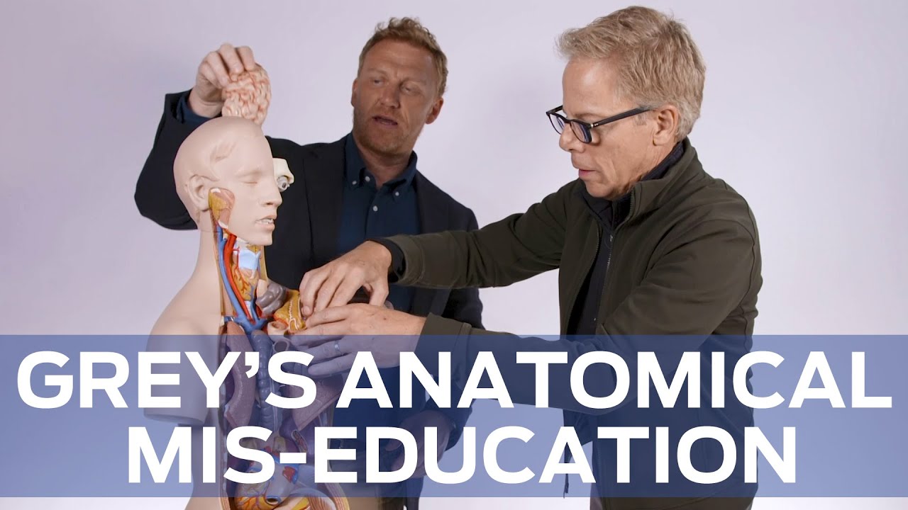 Anatomical Mis-Education with 'Grey's Anatomy''s Kevin McKidd and Greg Germann