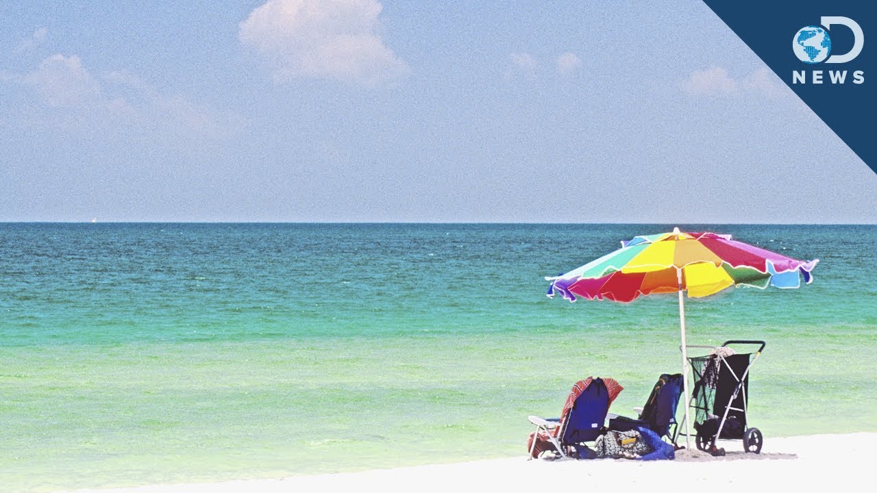 Flesh Eating Bacteria On Florida Beaches!
