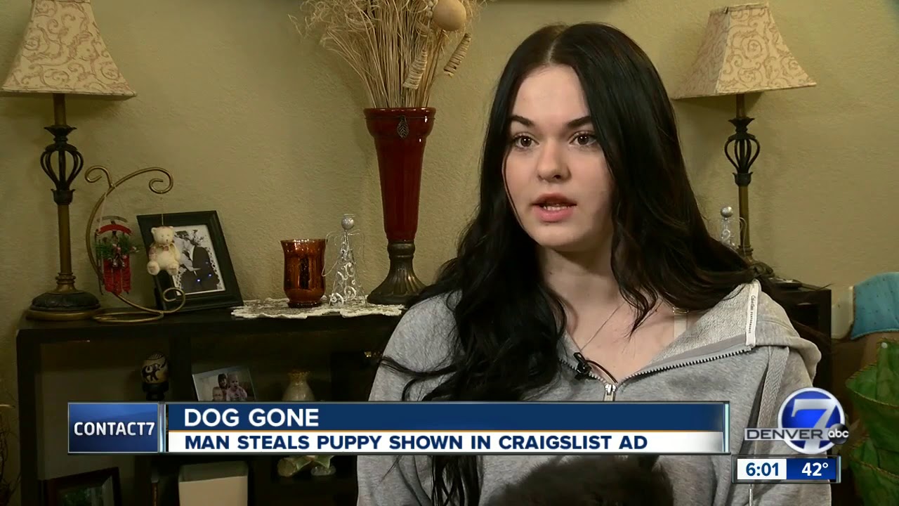 Craigslist seller has puppy stolen from Colorado home