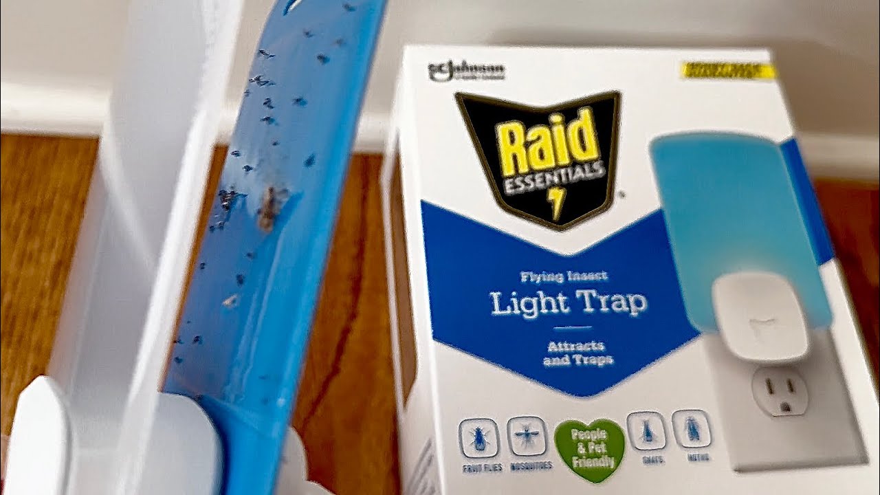 My Mosquito and Fruit Fly 6 Week Results with Raid Flying Insect Light Trap Starter Kit