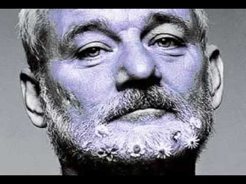 TOP 15 BILL MURRAY MOVIES