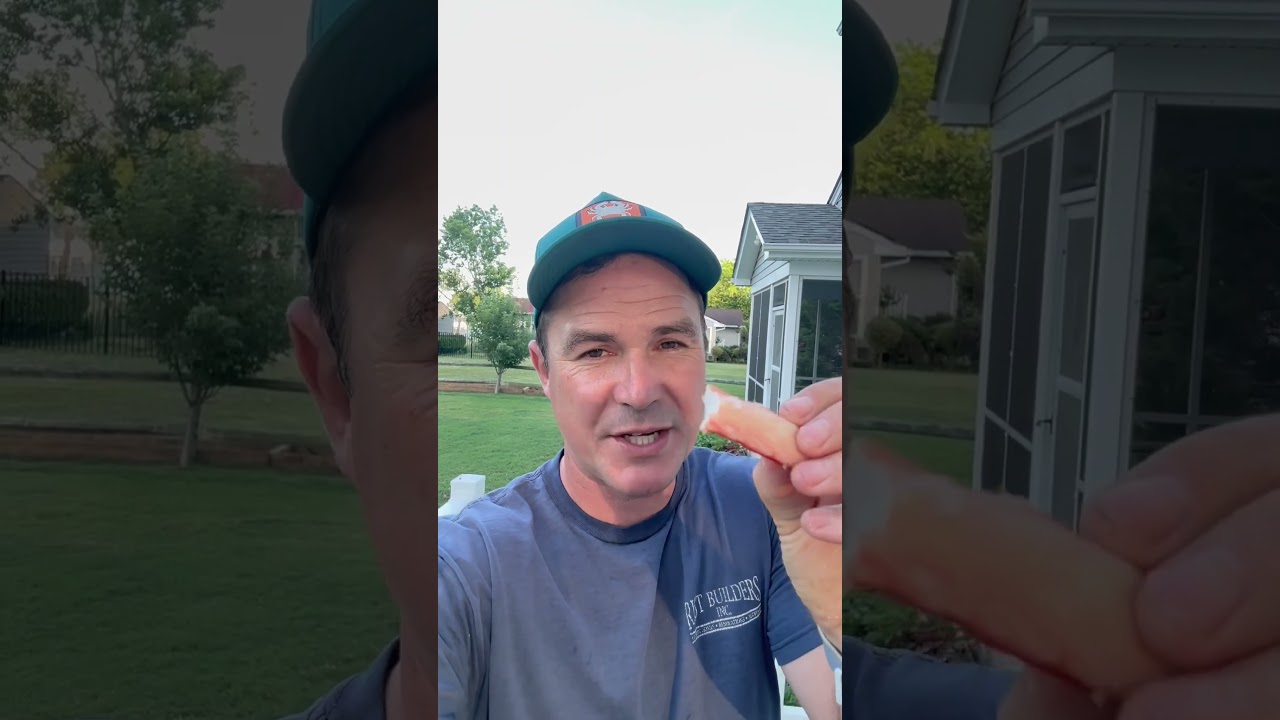 Pt. 11- Eating Crabs- Bairdi Crab #crab #snowcrab #seafood #creatorsearchinsights