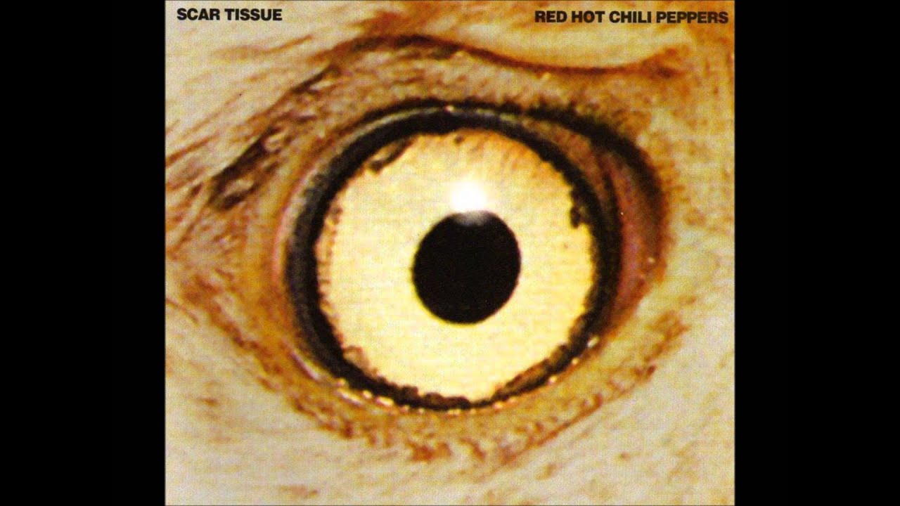 Red Hot Chili Peppers - Gong Li - B-Side [HD]
