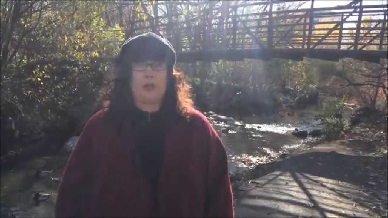 Downstream - A Poetry Video By Sandra Otter