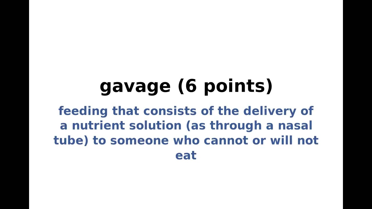 New York Times NYT Spelling Bee Answers and Solution for December 28, 2023