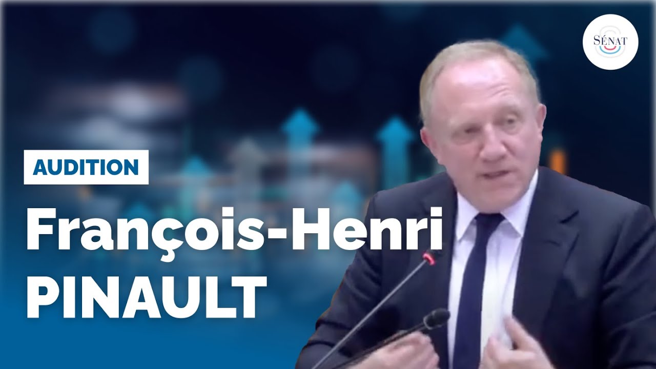 Aides aux grandes entreprises : audition de François-Henri Pinault