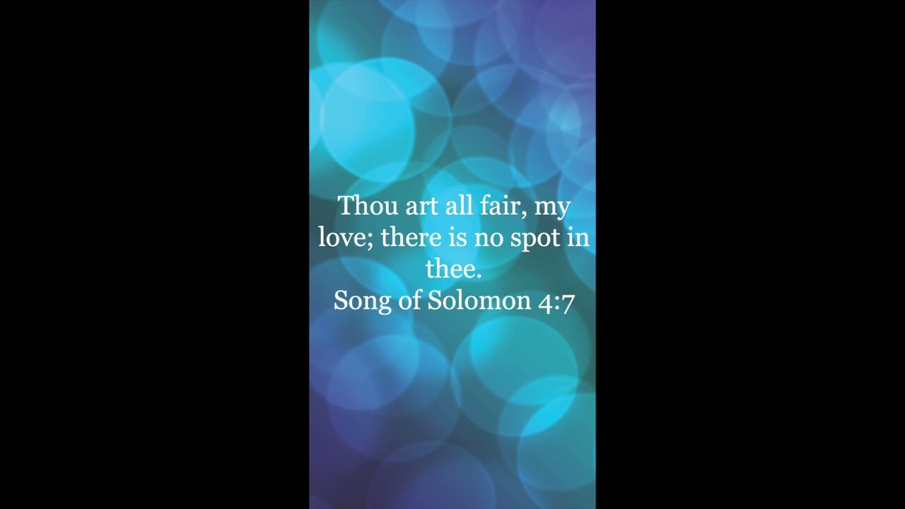 Verse of the day- Song of Solomon 4:7