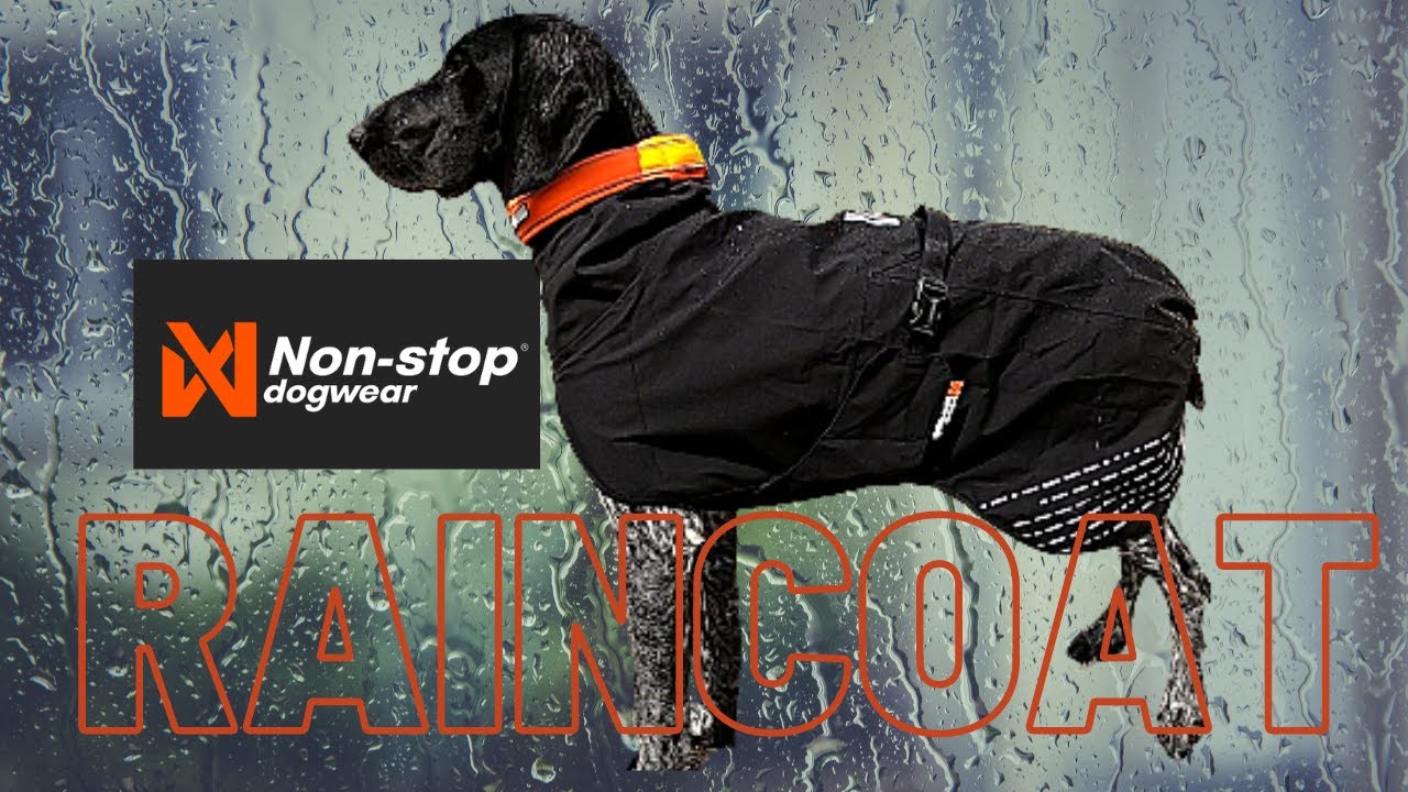 Our Favorite Dog Raincoat: The Fjord Raincoat from Non-stop Dogwear