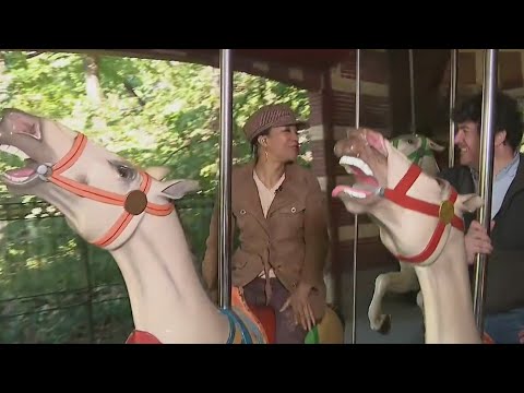 Central Park Carousel reopens