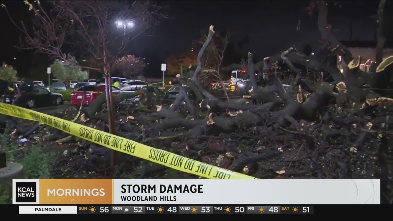 Storm damage in Woodland Hills