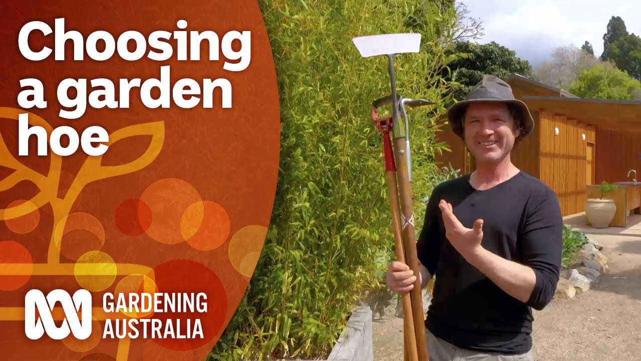 Choosing the correct style of garden hoe for each job | Gardening 101 | Gardening Australia
