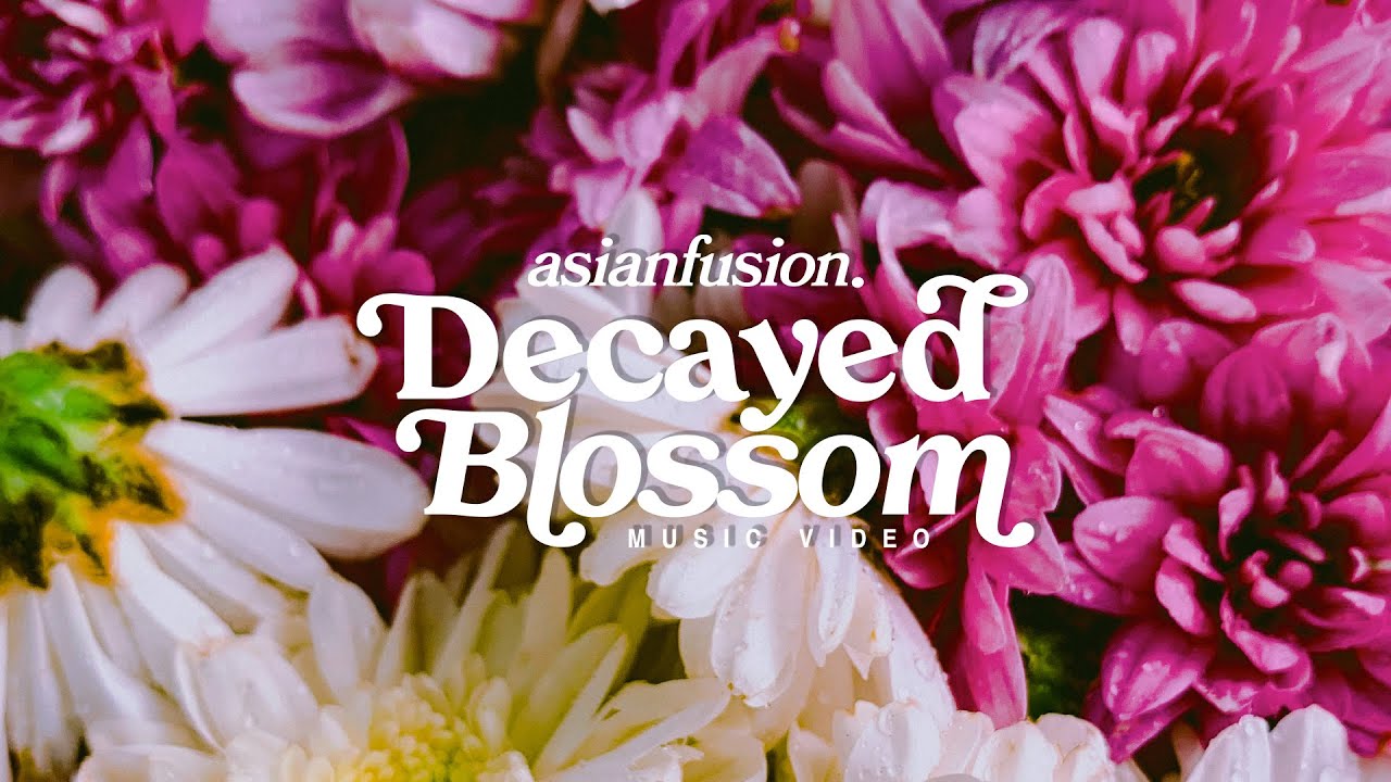 Asianfusion - Decayed Blossom (Official Music Video)