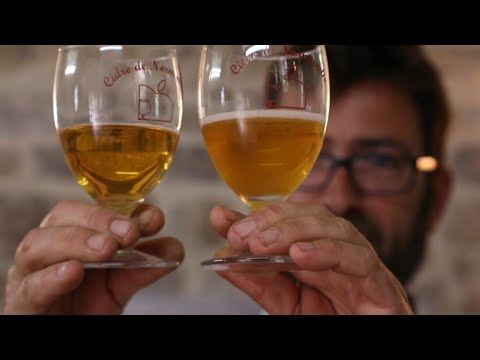 Made in Normandy: From Calvados to caramels • FRANCE 24 English