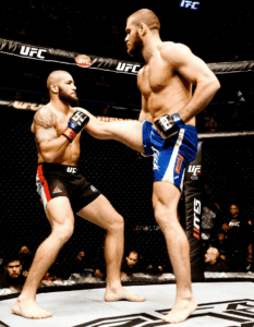 ufc 310