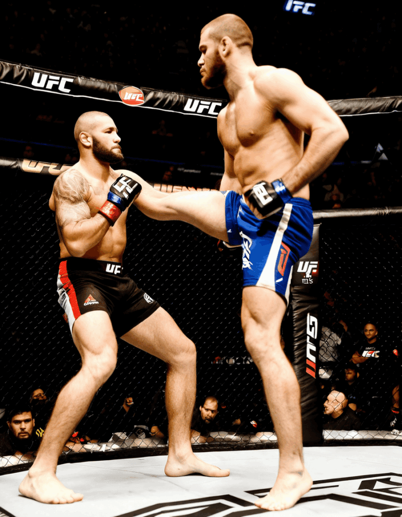 ufc 310