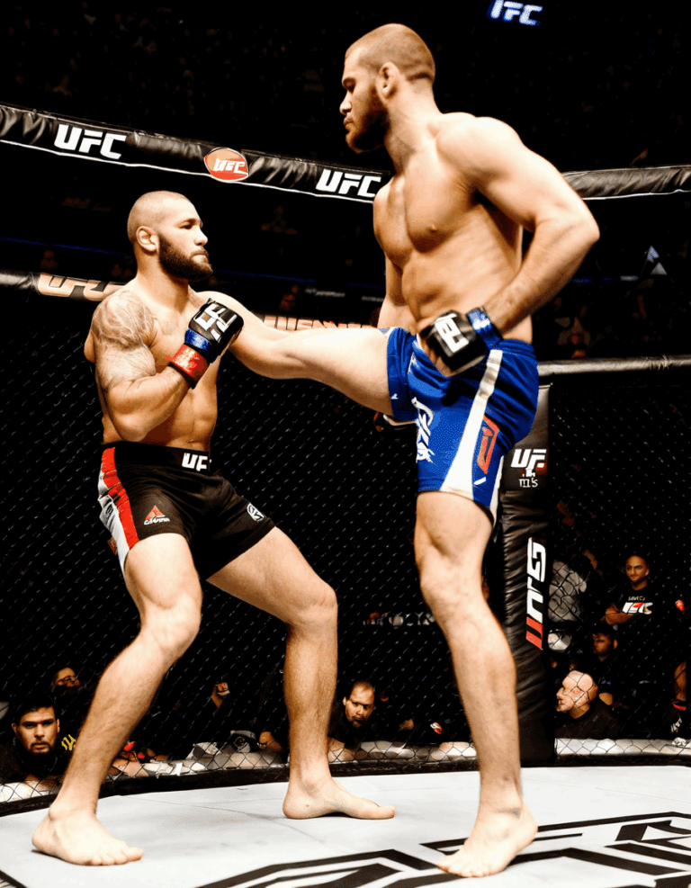 ufc 310
