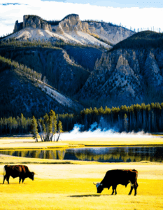 yellowstone season 5 part 2